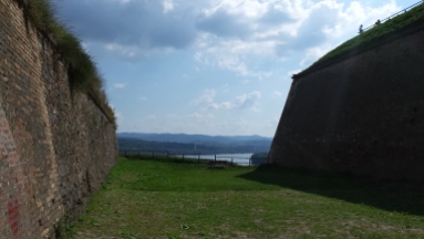 Douve, forteresse Petrovaradin, Novi Sad